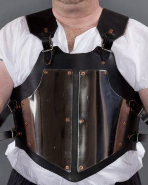 Leather and Stainless Steel Body Armour - Image 4