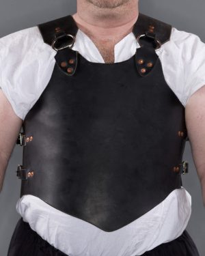 All Leather Body Armour - Image 4