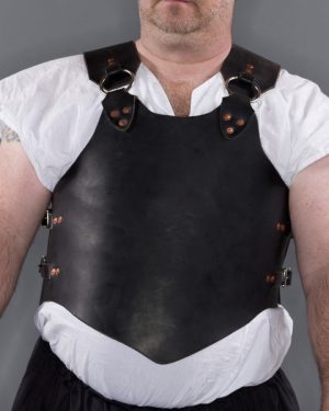 All Leather Body Armour - Image 2