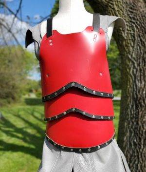 Segmented Body Armour handmade by Red Falcon